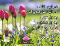 IMG_20230217_110146_823.jpg