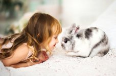 best-rabbits-for-kids.jpg
