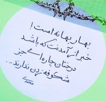 IMG_20230317_134222_053.jpg