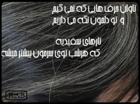 grey-hair.jpg