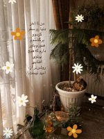 IMG_20230422_022805_775.jpg
