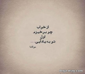 1684095521263.png
