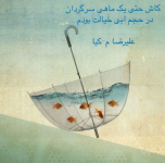 1684865620085.png