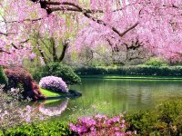 spring-nature-new-7.jpg