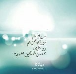IMG_20230611_131856_077.jpg