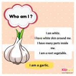 1721761535927.png