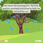 1722245965233.png