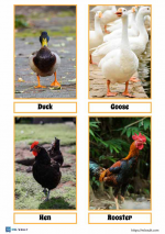 1722449323582.png