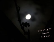 IMG_20240804_002308.jpg