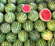 1723111122343.png