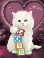 Cat_Love.jpg