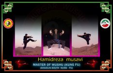 musavi copy.jpg