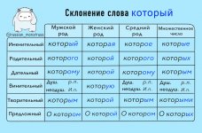 1000034229.jpg