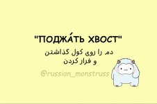 1000035180.jpg