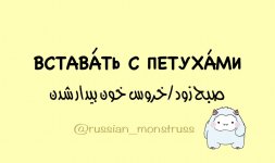 1000035185.jpg