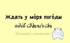 1000035189.jpg