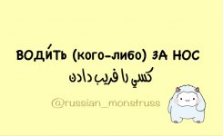 1000035190.jpg