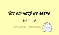 1000035192.jpg