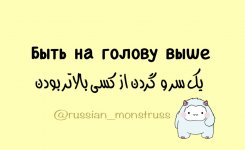 1000035198.jpg