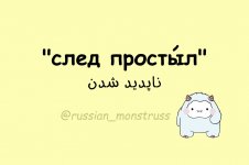1000038337.jpg