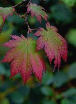 IMG_20241001_122402_707.jpg