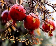 متن-کوتاه-ادبی-پاییز-انار.jpg