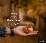 پاییز-انار-1.jpg