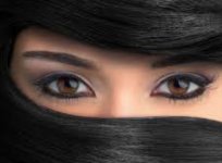 Screenshot_20241201_234812.jpg Screenshot_20241201_234812.jpg