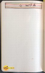 1000055050.jpg