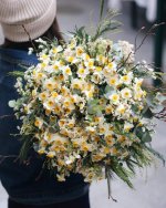 IMG_20250110_133129_046.jpg