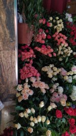 IMG_20250108_222854_728.jpg