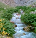 20120531145017_rodkhaneh[1].jpg