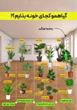 Screenshot_20251101_091049.jpg Screenshot_20251101_091049.jpg