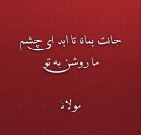 IMG_20251205_122957_859.jpg IMG_20251205_122957_859.jpg