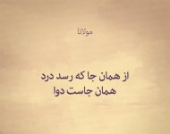 IMG_20251205_121726_494.jpg IMG_20251205_121726_494.jpg