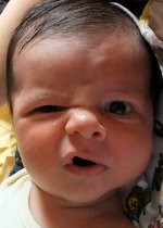 x_09f857cb.jpg x_09f857cb.jpg