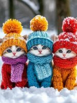 IMG_20251217_232203_992.jpg IMG_20251217_232203_992.jpg