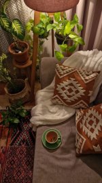 IMG_20251217_232336_839.jpg IMG_20251217_232336_839.jpg