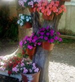 Screenshot_20251222_174649.jpg Screenshot_20251222_174649.jpg