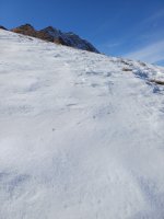 1000083075.jpg 1000083075.jpg