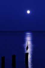 IMG_20260218_162917_379.jpg