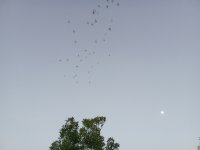 1000034655.jpg