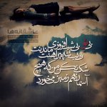 IMG_3505.jpeg