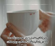 IMG_3545.jpeg