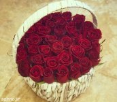 Rose-3.jpeg