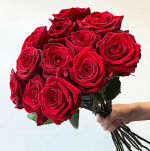 nody-رز-جاودان-رز-جاودان-چیست-؟-به-همراه-عکس-کادباکس-1724796258.png
