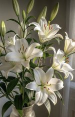 IMG_3874.jpeg