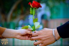 effect-of-giving-flowers.jpg