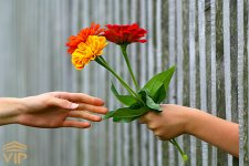 Giving_flowers.jpg