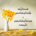 1786765549653.png